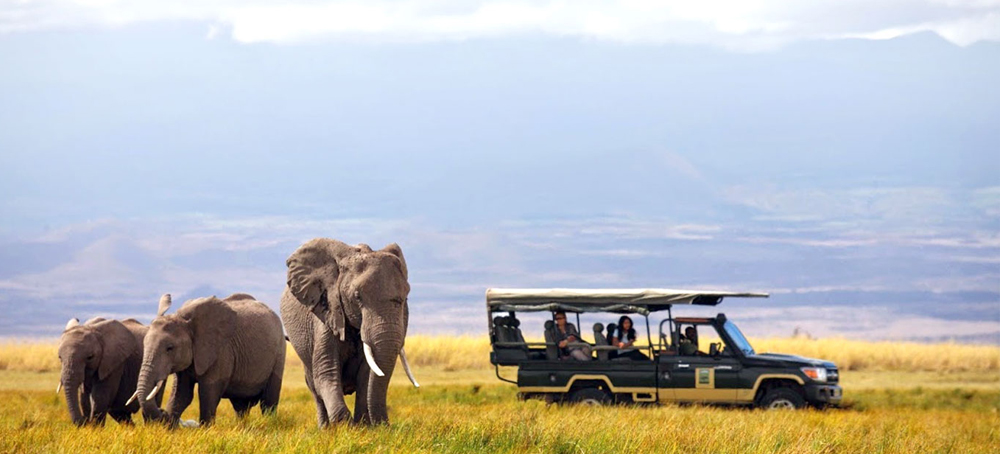 African safari tour packages from india